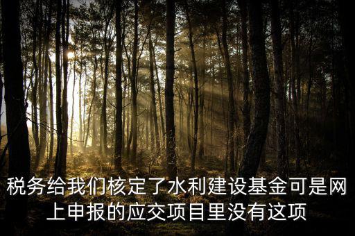 為什么水利建設(shè)無法申報，地稅電子稅務(wù)局的水利基金下滑找不到申報怎么辦