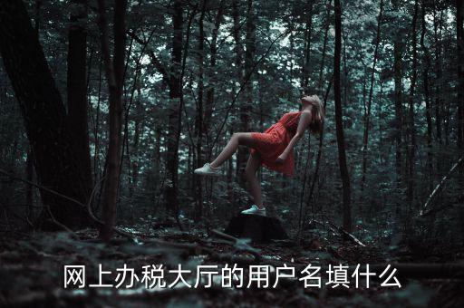 網(wǎng)上辦稅大廳的用戶(hù)名填什么