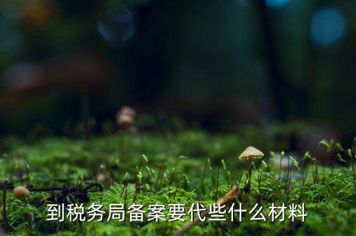 稅務備案表需要什么，稅務備案需要哪些資料