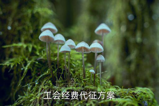 工會經費為什么委托稅務機關代征，工會經費交地稅局是怎么回事
