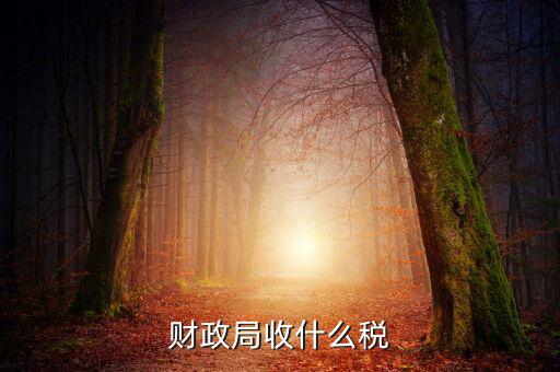 財政局征收什么稅，現(xiàn)行由財政機關(guān)征收的稅收有哪些拜托各位大神
