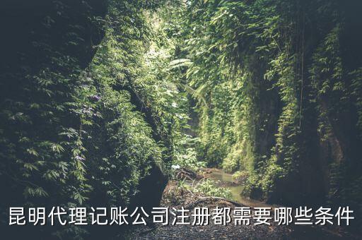 昆明報稅要什么條件，httpswwwkmgsgovcn 我是一個新客戶要怎樣才能進入昆明國稅局
