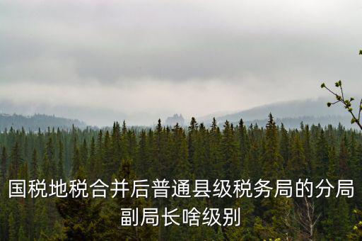 國稅地稅合并后普通縣級(jí)稅務(wù)局的分局副局長啥級(jí)別