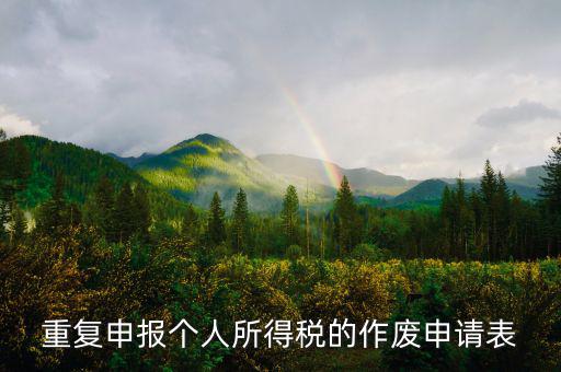 申報表作廢申請單 要帶什么，國稅報表作廢帶什么