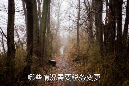 什么情況須變更稅務(wù)，納稅人應(yīng)當(dāng)辦理變更稅務(wù)登記的情形有