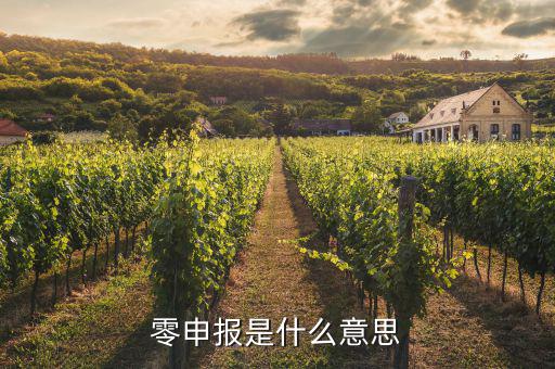 免于零申報什么意思，免于零申報是什么意思