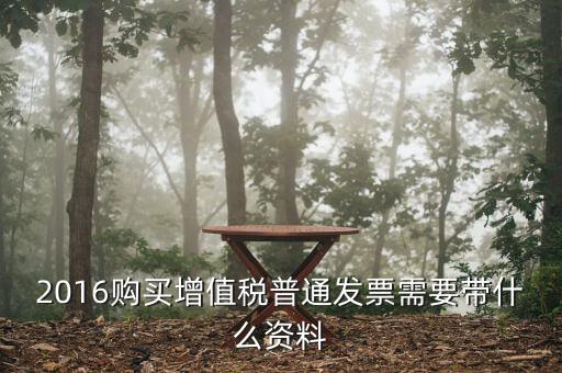 2016領(lǐng)發(fā)票需要帶什么，2016購(gòu)買增值稅普通發(fā)票需要帶什么資料