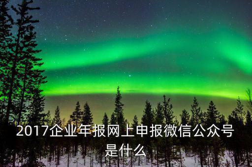 企業(yè)申報(bào)客戶端是什么意思，2017企業(yè)年報(bào)網(wǎng)上申報(bào)微信公眾號(hào)是什么