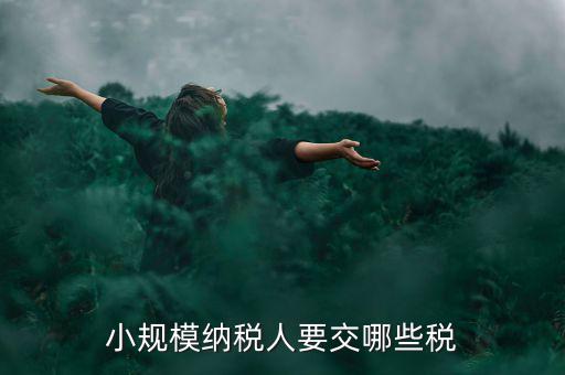 小規(guī)模納稅人報(bào)什么稅，小規(guī)模納稅人要交哪些稅