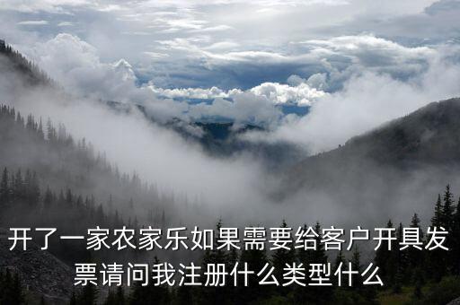 我要是以開普票為主 注冊什么性質(zhì)的公司好，開了一家農(nóng)家樂如果需要給客戶開具發(fā)票請問我注冊什么類型什么