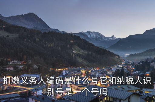 易稅門戶扣繳義務(wù)人編碼是什么，易稅門戶中扣繳義務(wù)人編碼指什么