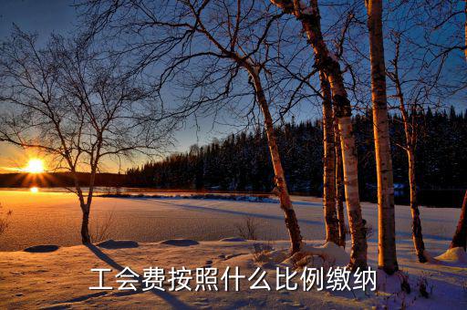 工會費按照什么比例繳納