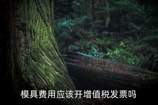 模具設(shè)計(jì)開發(fā)費(fèi)開什么發(fā)票，模具開發(fā)及制造費(fèi)一般開什么發(fā)票明細(xì)