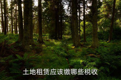 租賃政府土地交什么稅，土地使用權(quán)租賃要交哪些稅