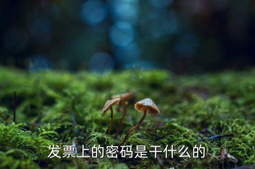 湖南汽車發(fā)票密碼是什么意思，發(fā)票上的密碼是做什么用的啊