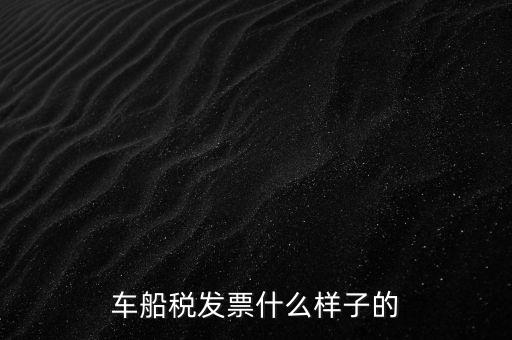 車(chē)船稅發(fā)票什么樣子的