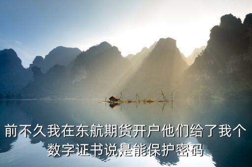 前不久我在東航期貨開戶他們給了我個數字證書說是能保護密碼
