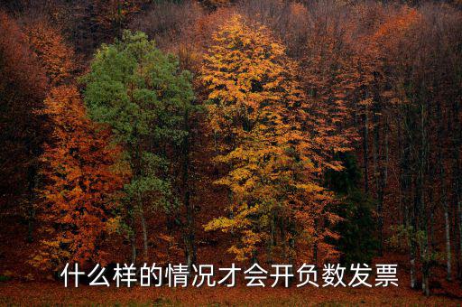 負數(shù)發(fā)票是什么意思，負數(shù)普通票什么意思