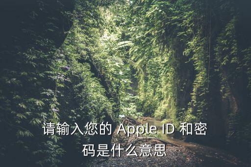 查詢個(gè)稅 密碼是輸入什么，請(qǐng)輸入您的 Apple ID 和密碼是什么意思