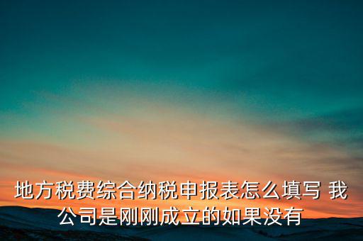 地稅不開票需填什么表，地方稅費綜合納稅申報表怎么填寫 我公司是剛剛成立的如果沒有