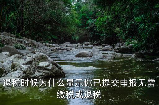 退稅時候?yàn)槭裁达@示你已提交申報無需繳稅或退稅