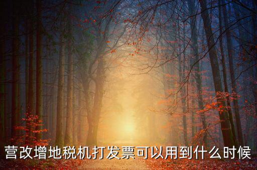 地稅發(fā)票能用到什么時(shí)候，納稅人已領(lǐng)取地稅機(jī)關(guān)印制的發(fā)票可以使用到什么時(shí)候