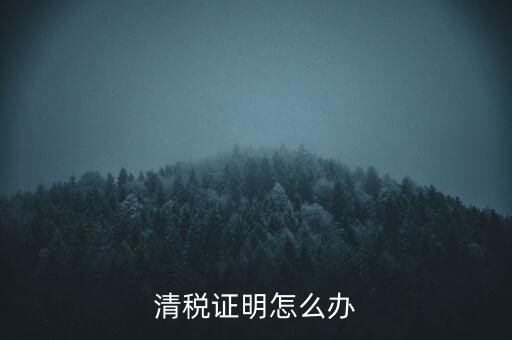 稅務(wù)無紙化辦公要什么材料，清稅證明怎么辦