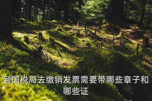 繳銷出口商品統(tǒng)一發(fā)票要蓋什么章，到國(guó)稅局去繳銷發(fā)票需要帶哪些章子和哪些證
