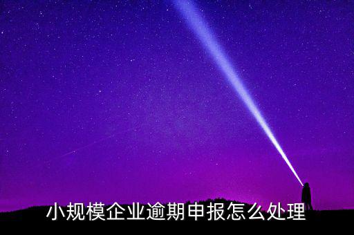 小規(guī)模納稅人如果沒有按時(shí)申報(bào)有什么后果，小規(guī)模不報(bào)稅什么后果