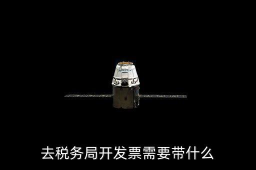 去國(guó)稅開(kāi)票帶什么手續(xù)，去稅務(wù)局開(kāi)發(fā)票需要帶什么