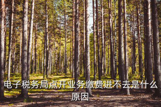 電子稅務局點開業(yè)務繳費進不去是什么原因