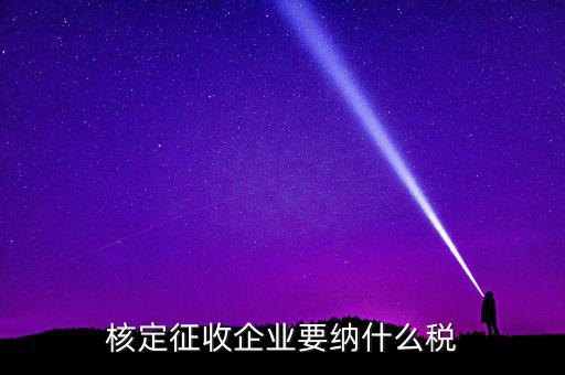 什么稅可以核定征收，核定征收企業(yè)要納什么稅