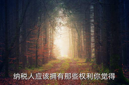納稅人的權(quán)益有什么，納稅人應(yīng)該擁有那些權(quán)利你覺得