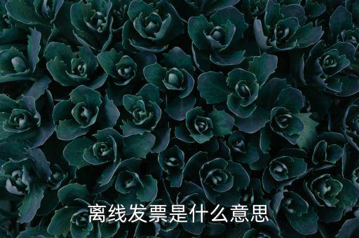 離線開(kāi)票什么意思，離線發(fā)票是什么意思
