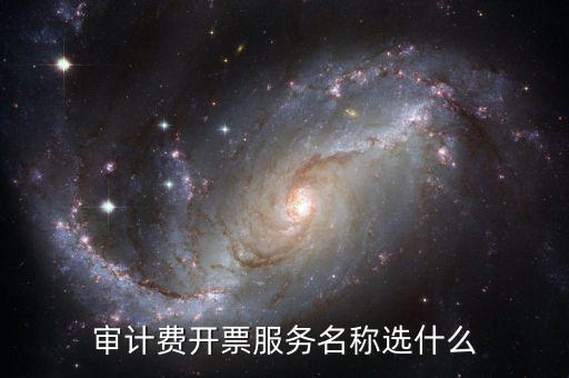 審計費開票服務(wù)名稱選什么