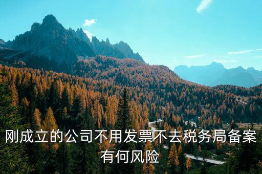 稅收備案制有什么風險，稅收政策變化導致中小企業(yè)的風險有哪些