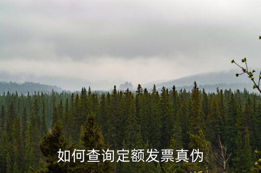 定額發(fā)票查詢的密碼是什么，如何查詢定額發(fā)票真?zhèn)?/></a></span><span id=