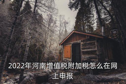 附加稅在什么網(wǎng)站申報(bào)，2022年河南增值稅附加稅怎么在網(wǎng)上申報(bào)