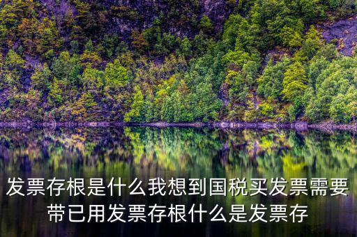 發(fā)票存根是什么我想到國(guó)稅買(mǎi)發(fā)票需要帶已用發(fā)票存根什么是發(fā)票存