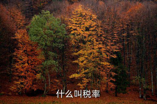 什么叫增值稅稅率，增值稅普通發(fā)票的稅率是什么意思