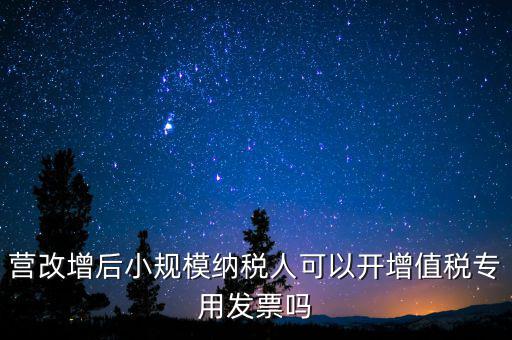 營改增后地稅能開什么票，營改增之后地稅局還可以開發(fā)票嗎