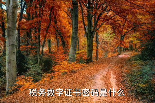 煙臺(tái)國(guó)稅證書(shū)密碼是什么，登錄國(guó)稅網(wǎng)上辦稅服務(wù)廳的用戶名和密碼是什么