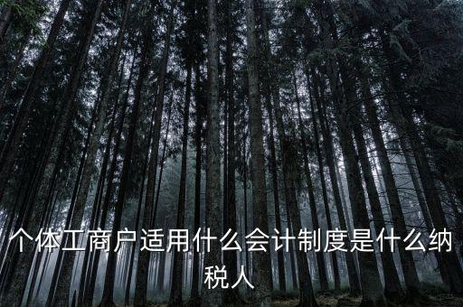 個體戶屬于什么納稅人，從事縫紉業(yè)務(wù)的個體戶屬于哪一類納稅人