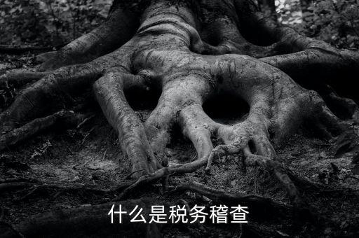 稅務檢查查什么，什么是稅務稽查