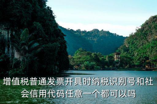 發(fā)票 社會代碼是什么意思，現(xiàn)在開發(fā)票要的社會信用代碼是誰的代碼