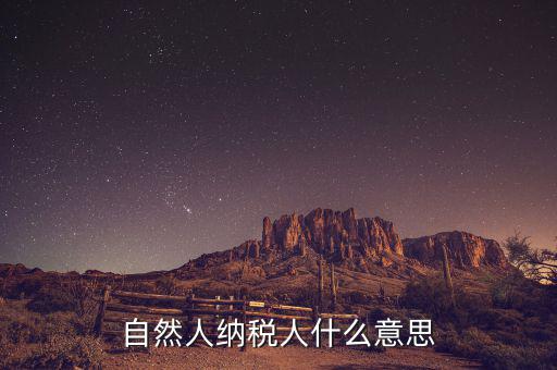 什么是自然人辦稅，自然人納稅人什么意思