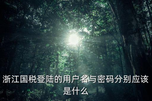 浙江國稅密碼是什么意思，浙江地稅開票軟件中數(shù)據(jù)庫密碼是多少