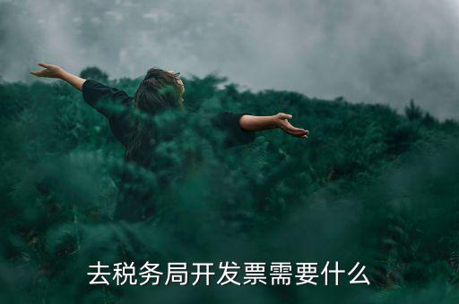 常州國稅認(rèn)證發(fā)票需要帶什么手續(xù)，去國稅認(rèn)證發(fā)票需要帶什么資料