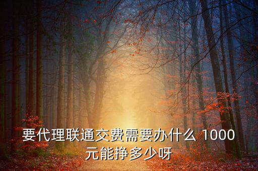 要代理聯通交費需要辦什么 1000元能掙多少呀