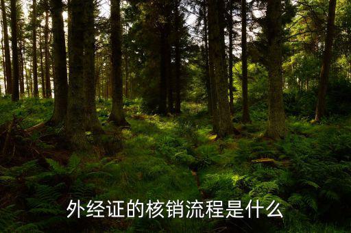 核銷的外經(jīng)證是什么樣，外經(jīng)證核銷是什么意思